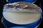 White petroleum jelly