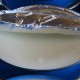 White petroleum jelly